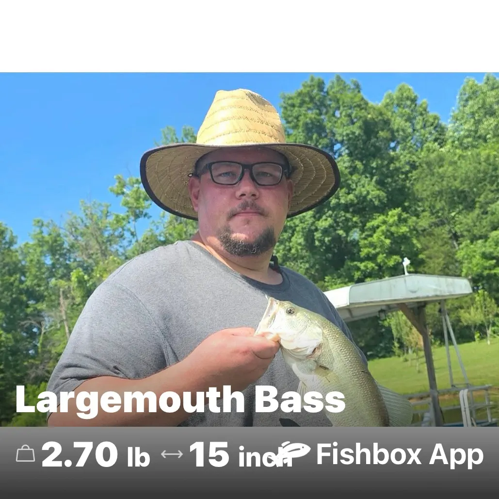 Largemouth bass caught on Fishbrain