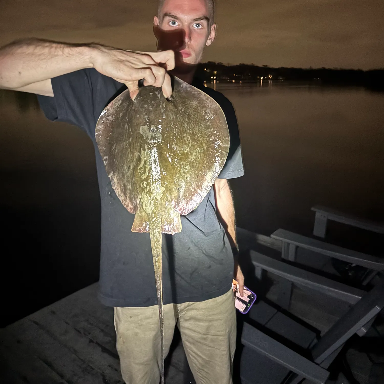 The most recent Pelagic stingray catches on Fishbrain
