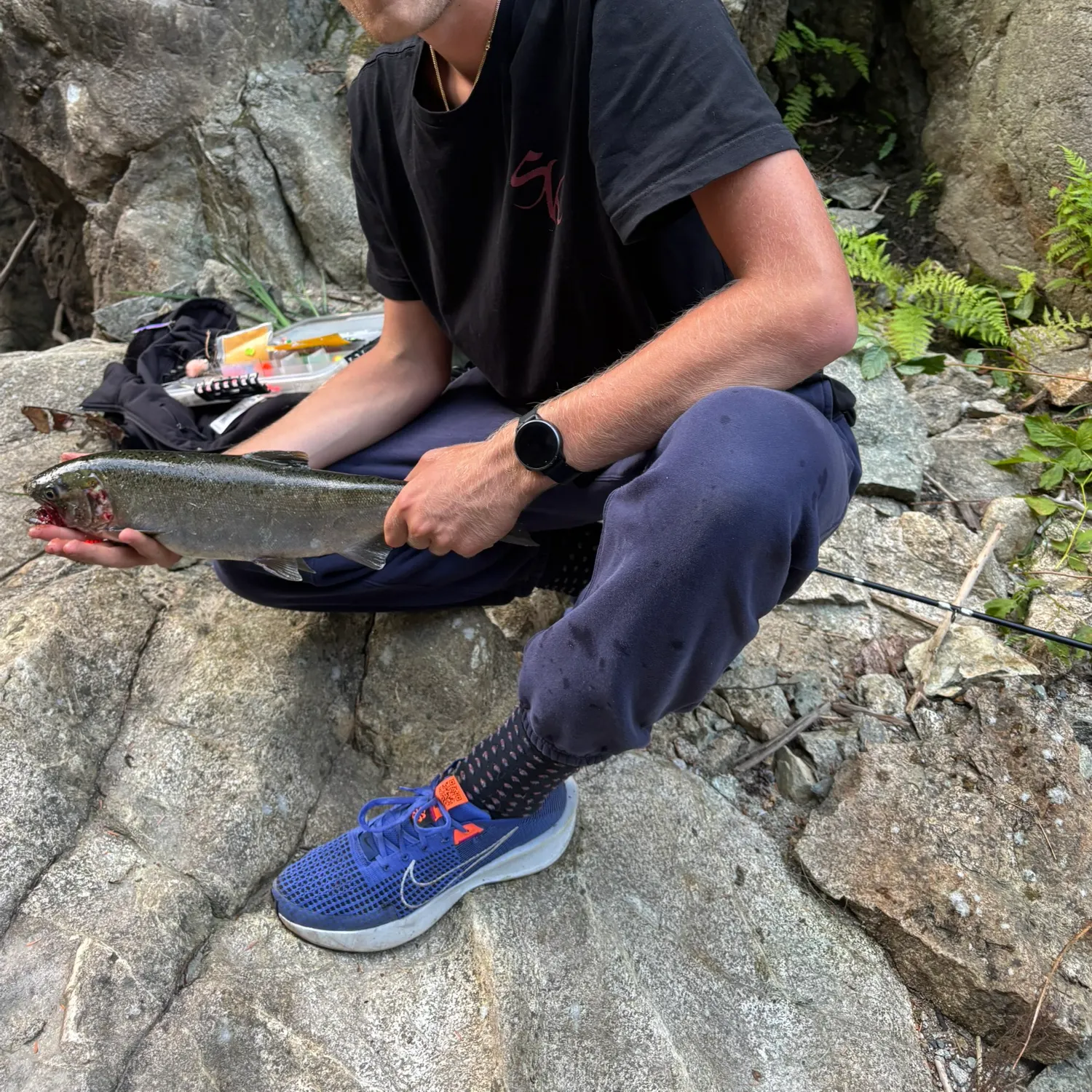 Coho salmon caught on Fishbrain