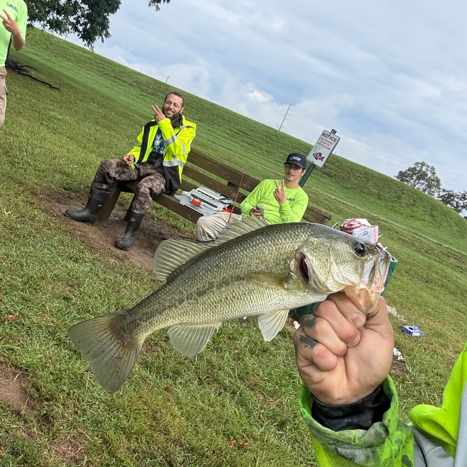 Largemouth bass caught on Fishbrain