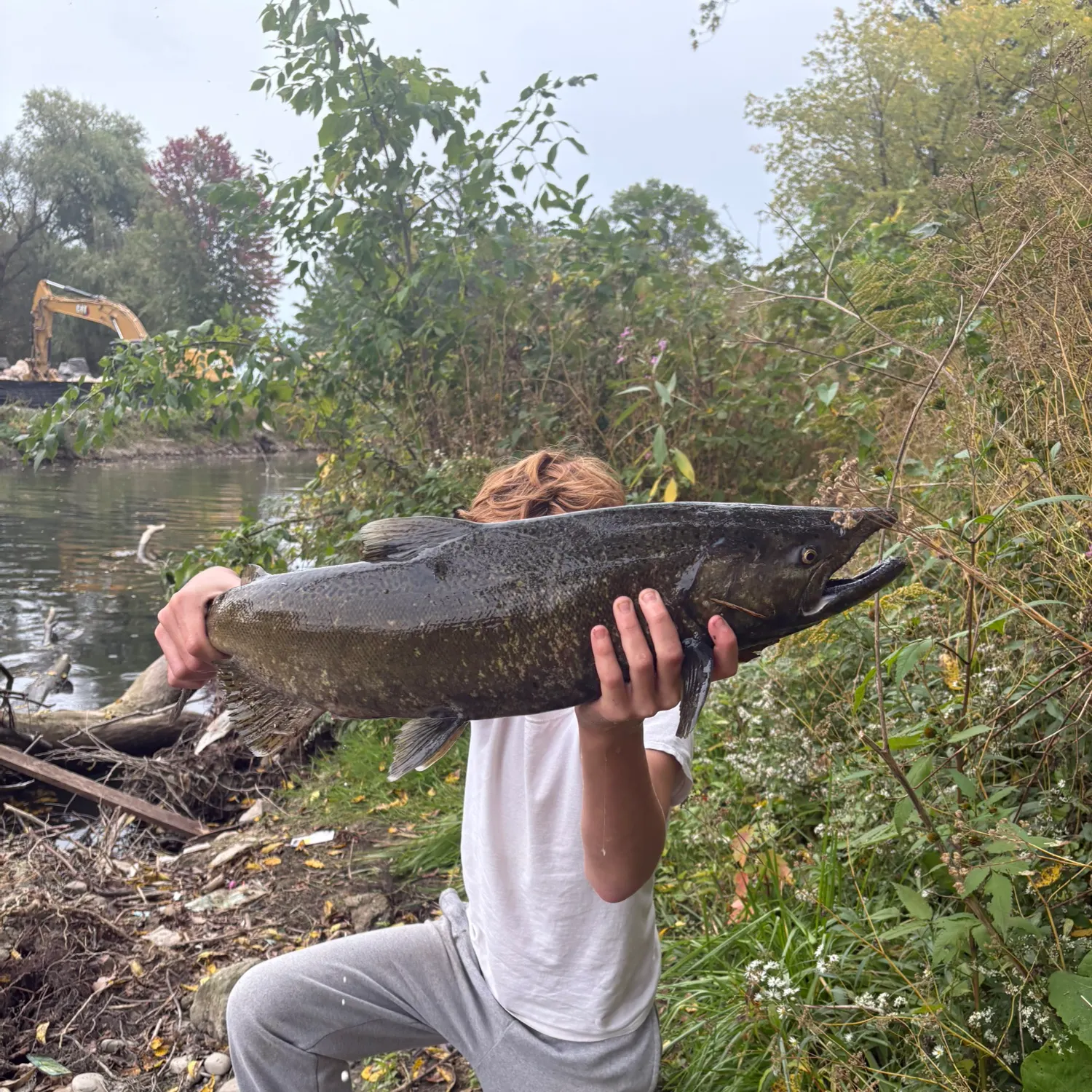 Chinook salmon caught on Fishbrain