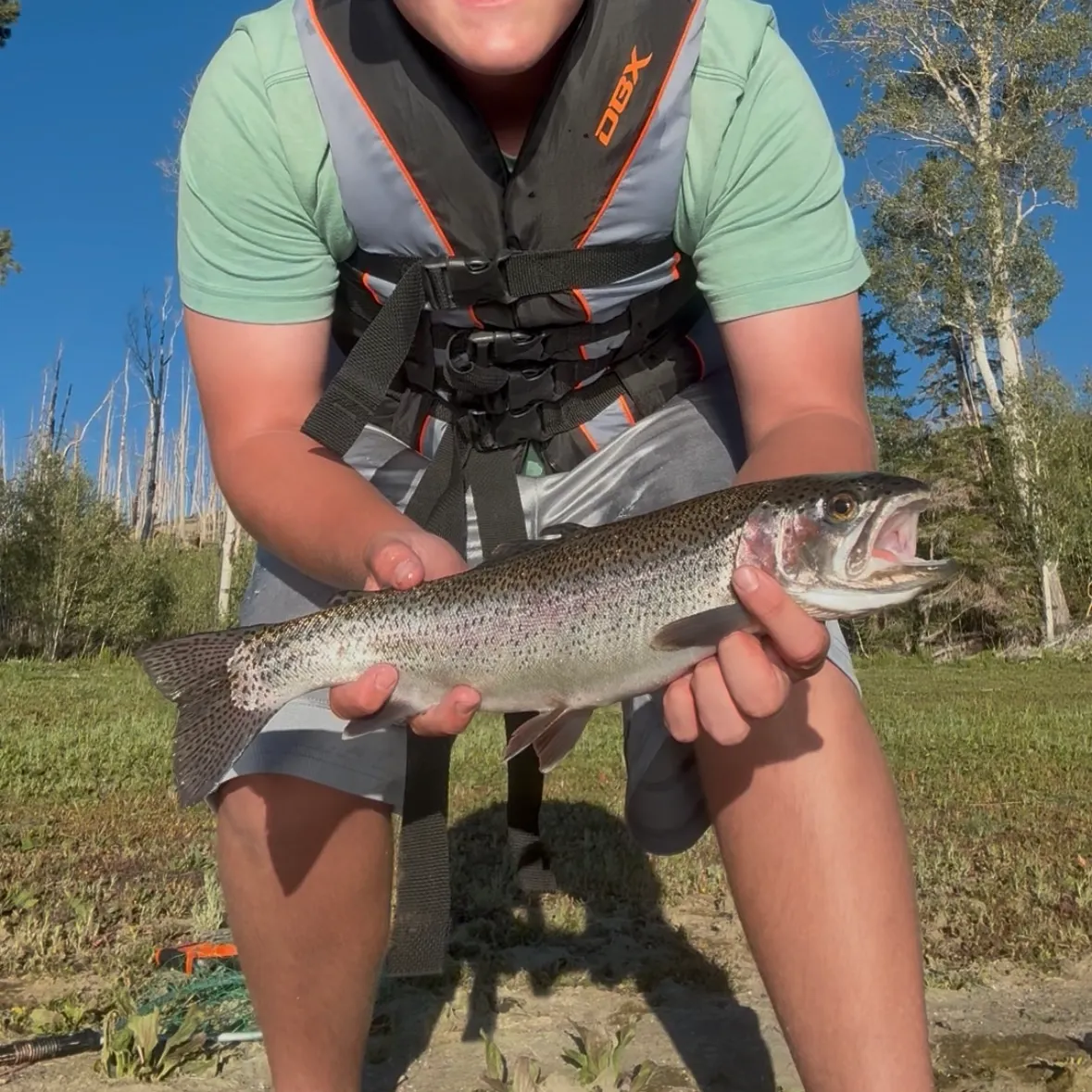 Rainbow trout caught on Fishbrain