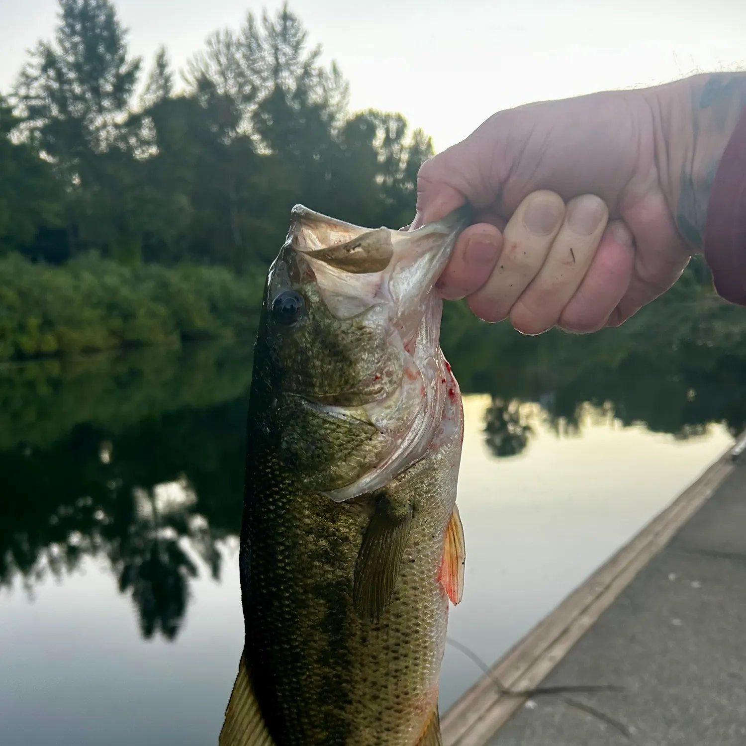catch