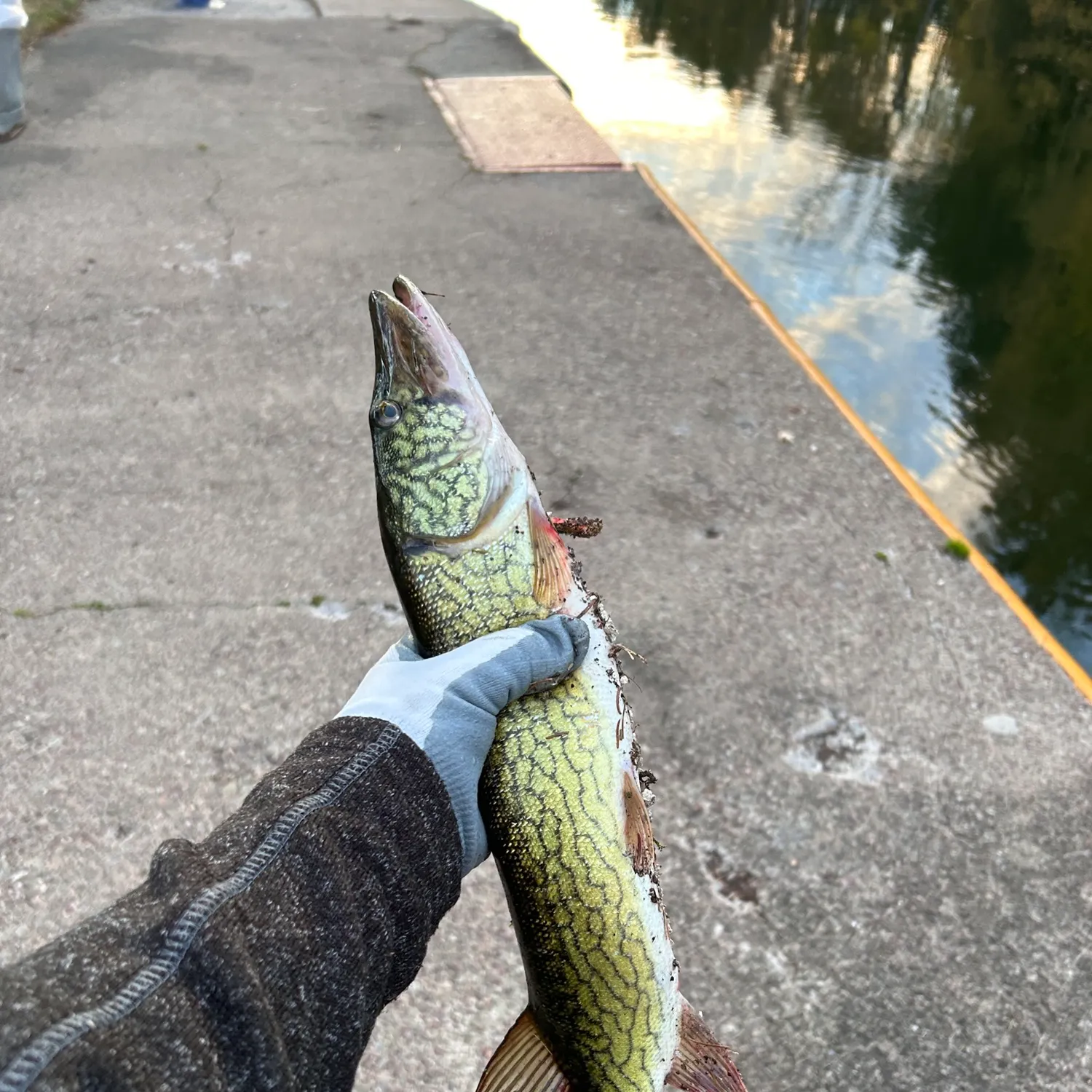 catch