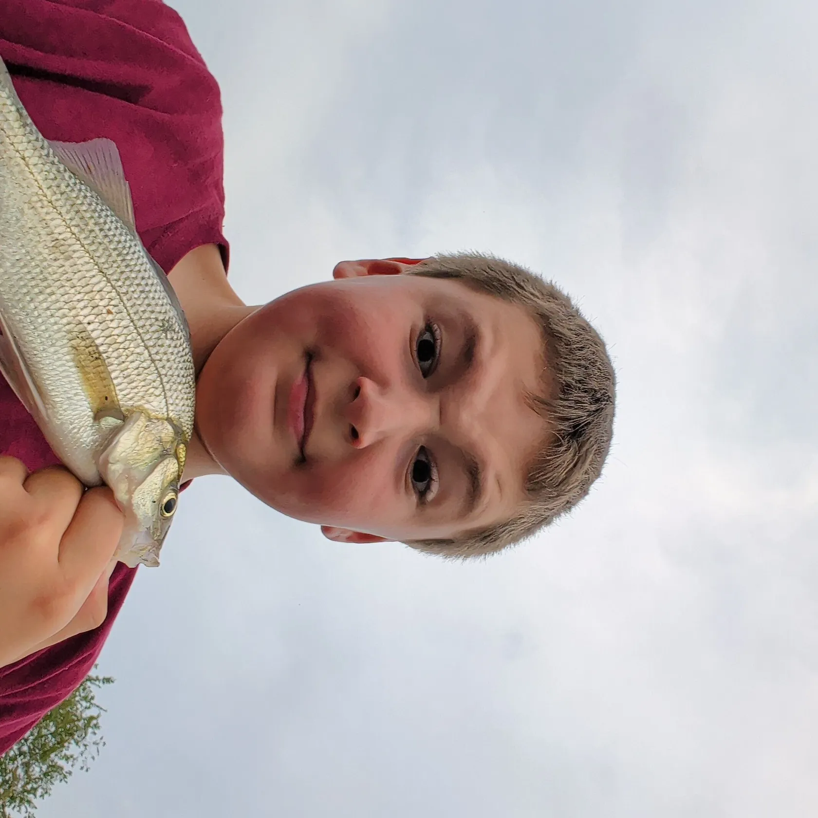 White perch caught on Fishbrain