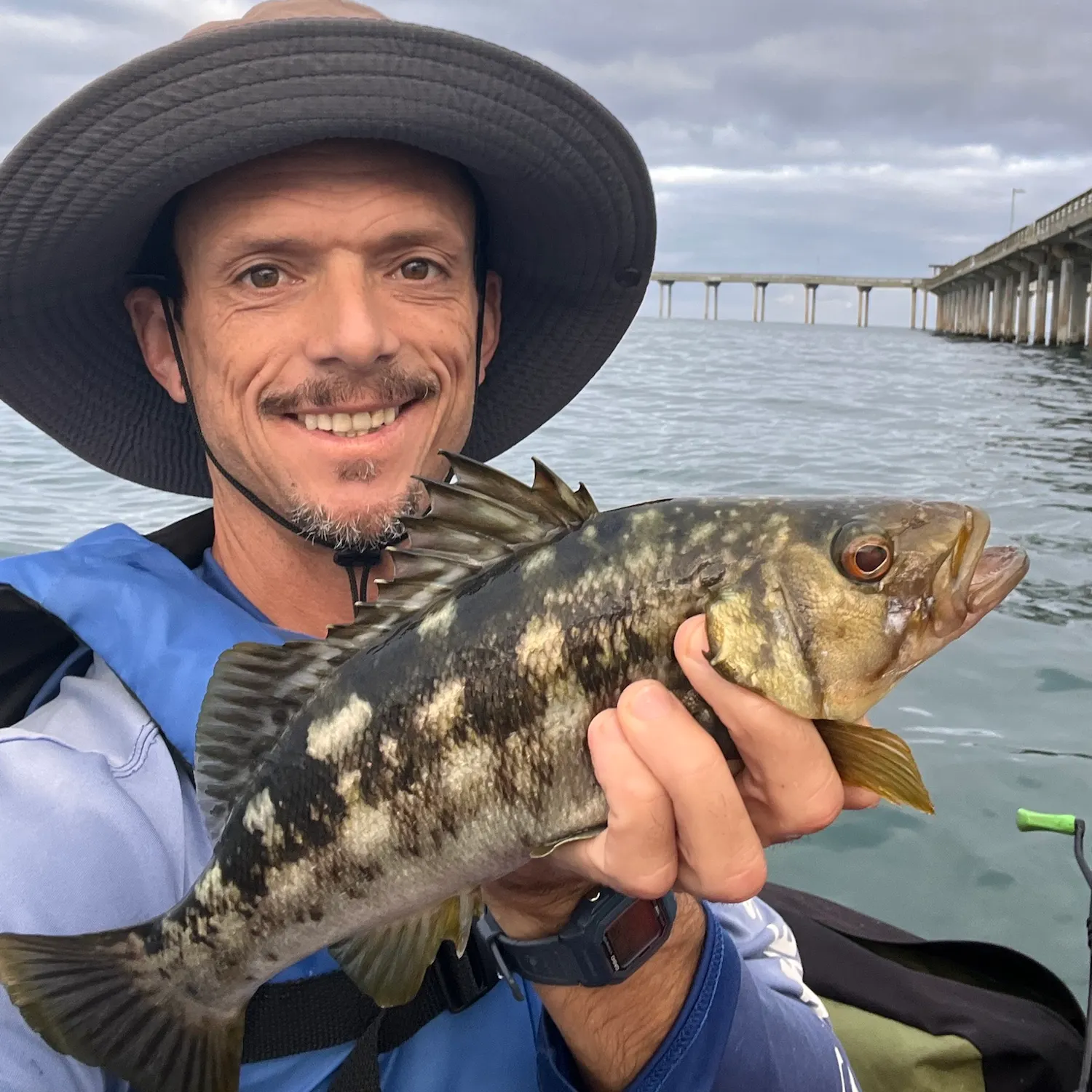Kelp bass caught on Fishbrain
