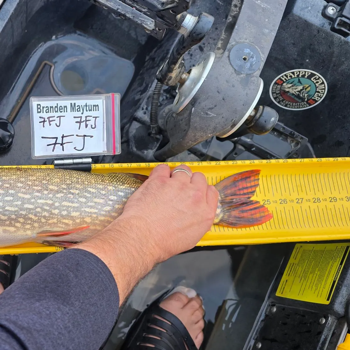 recently logged catches