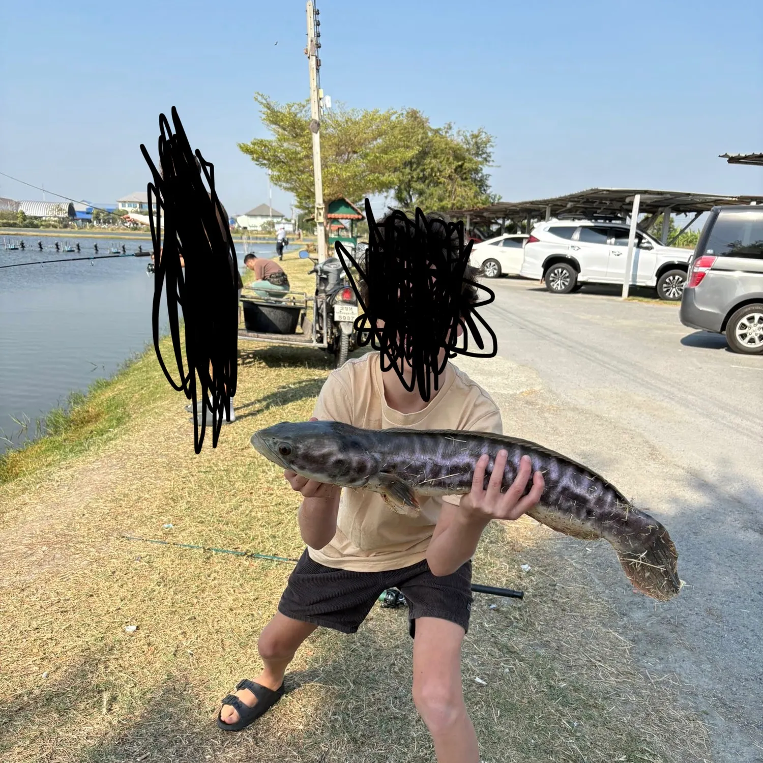 The most recent Northern snakehead catches on Fishbrain