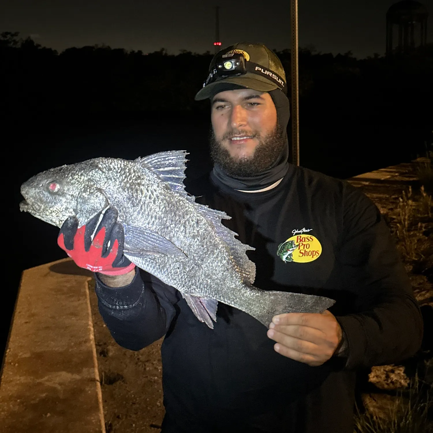 Black drum caught on Fishbrain