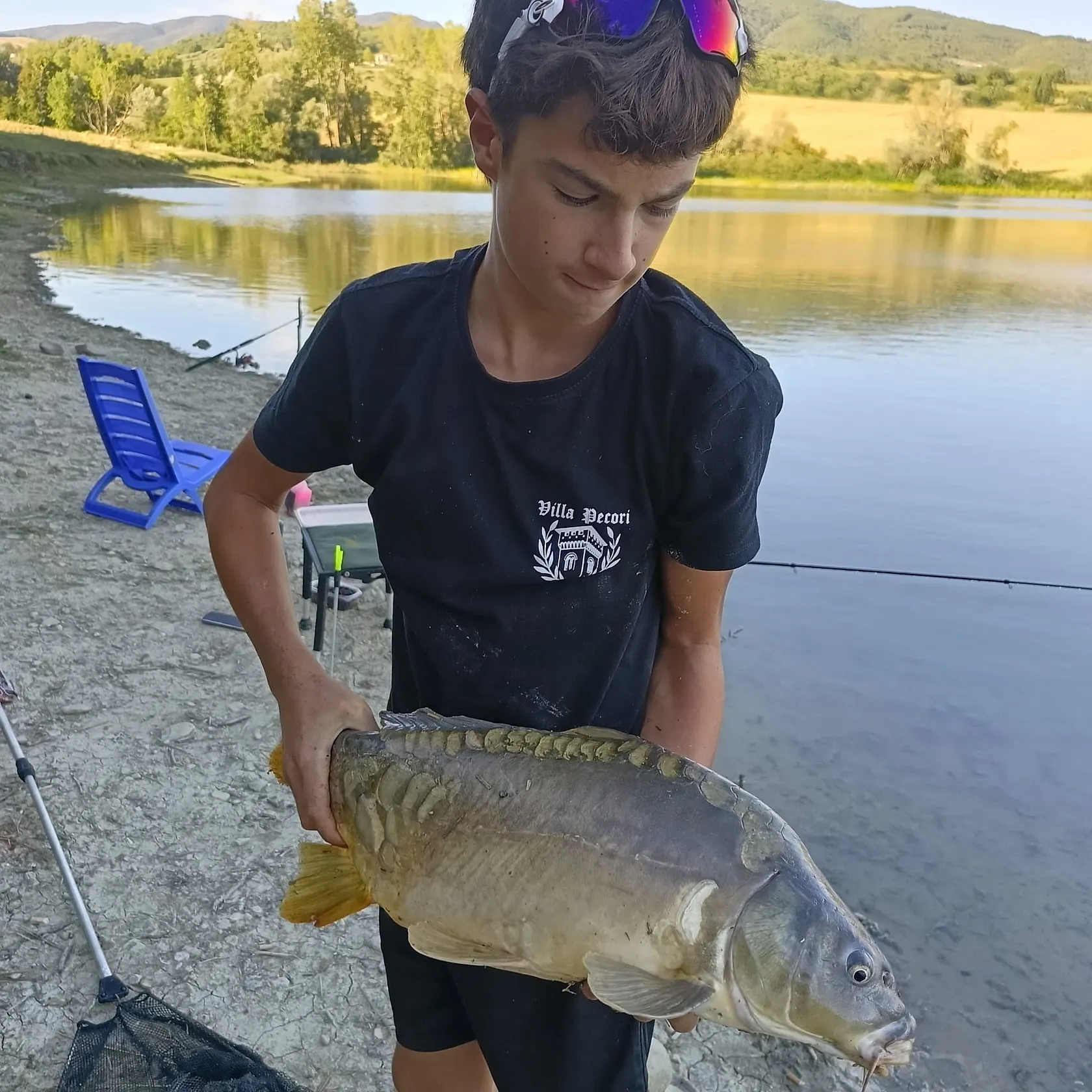 Leather carp caught on Fishbrain