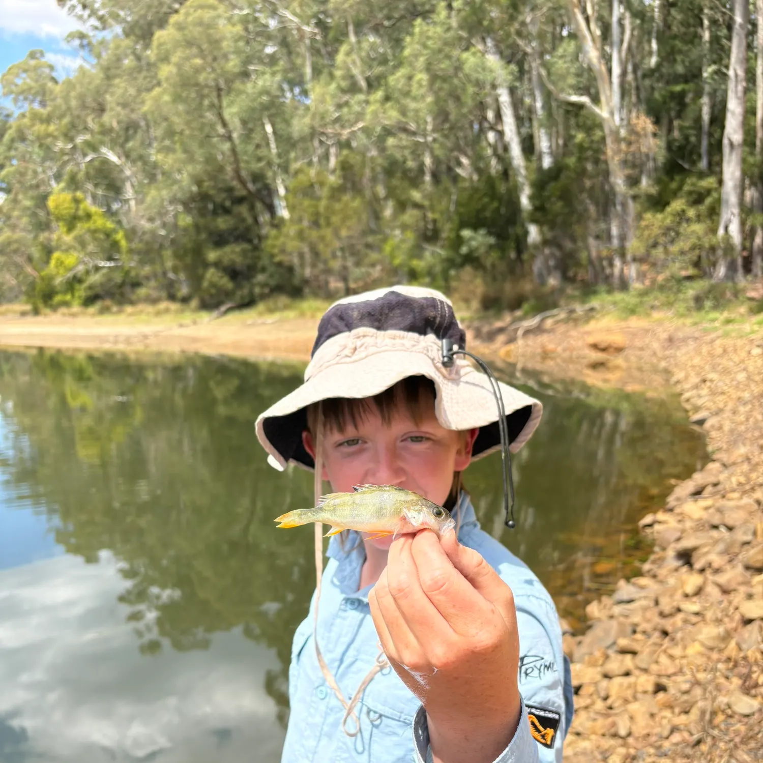 European perch caught on Fishbrain