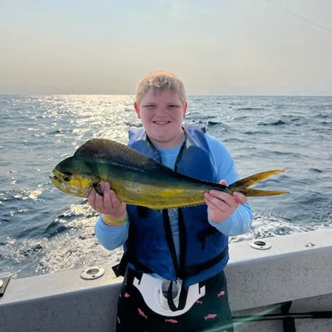 Common dolphinfish caught on Fishbrain