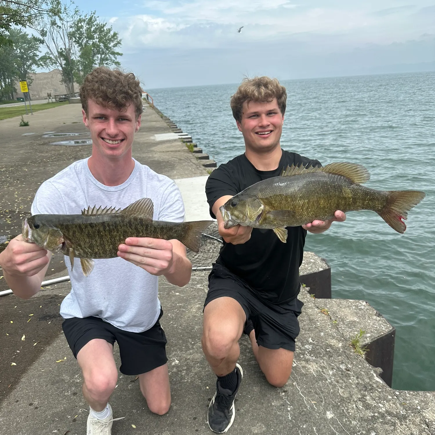 angler catch