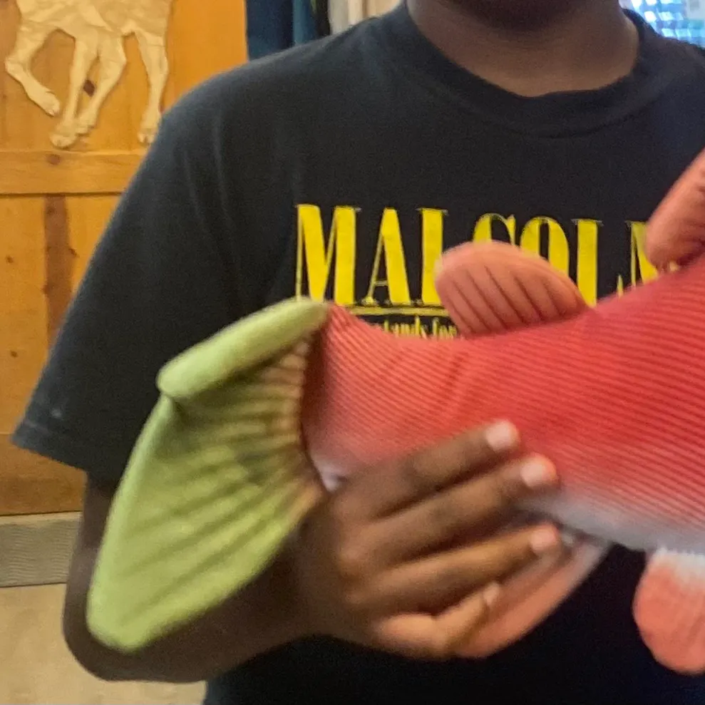 The most recent Sockeye salmon catches on Fishbrain