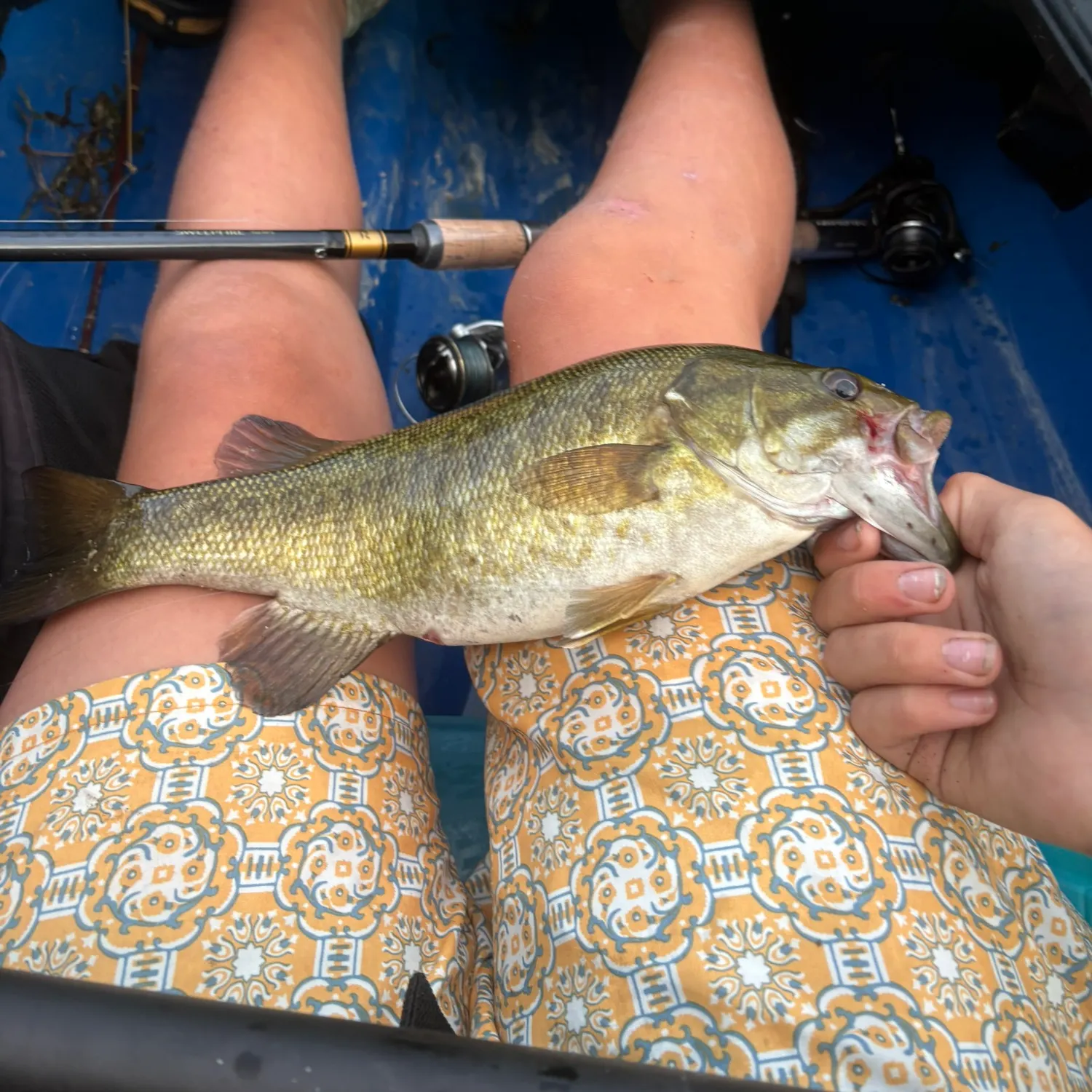 Smallmouth bass caught on Fishbrain