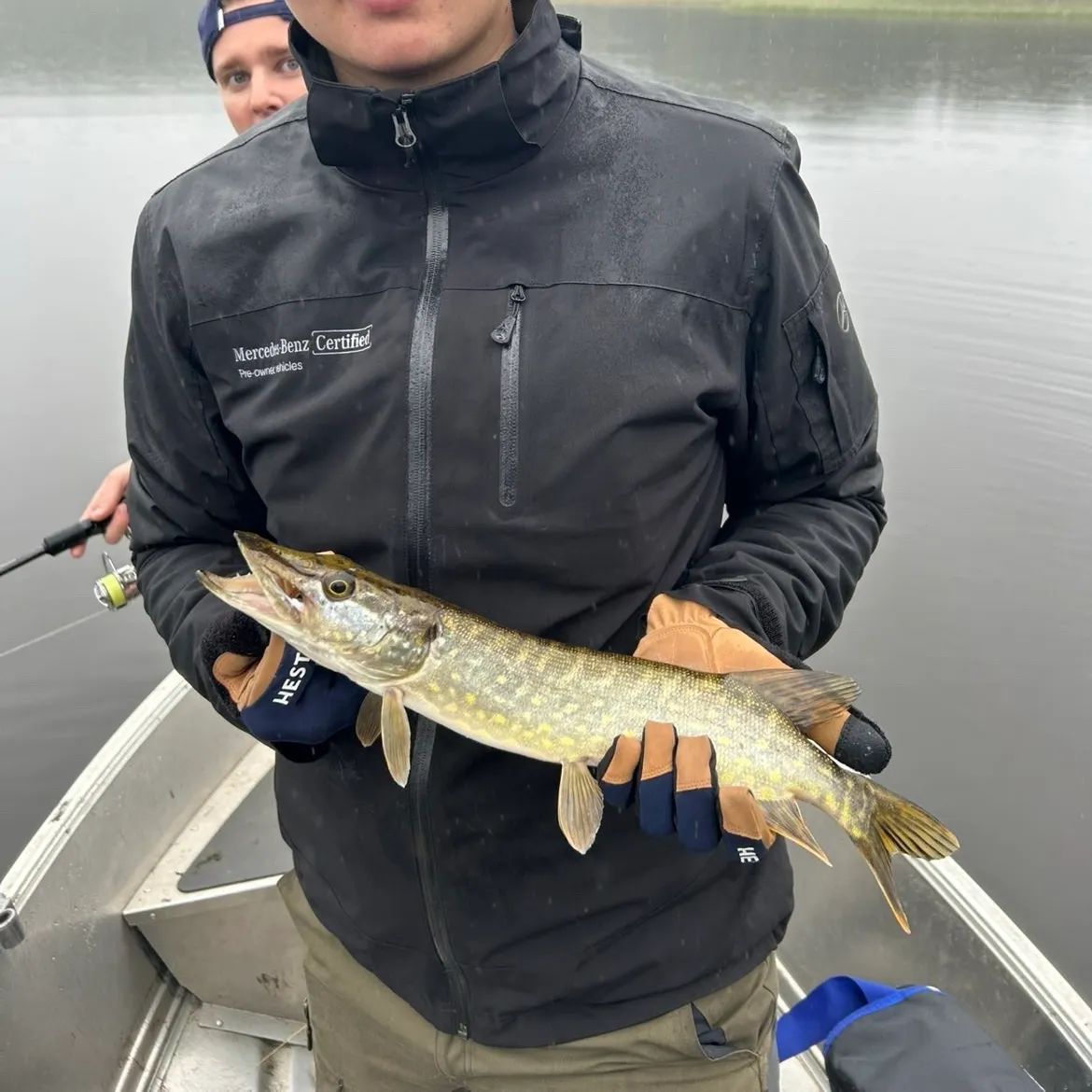 Northern pike caught on Fishbrain