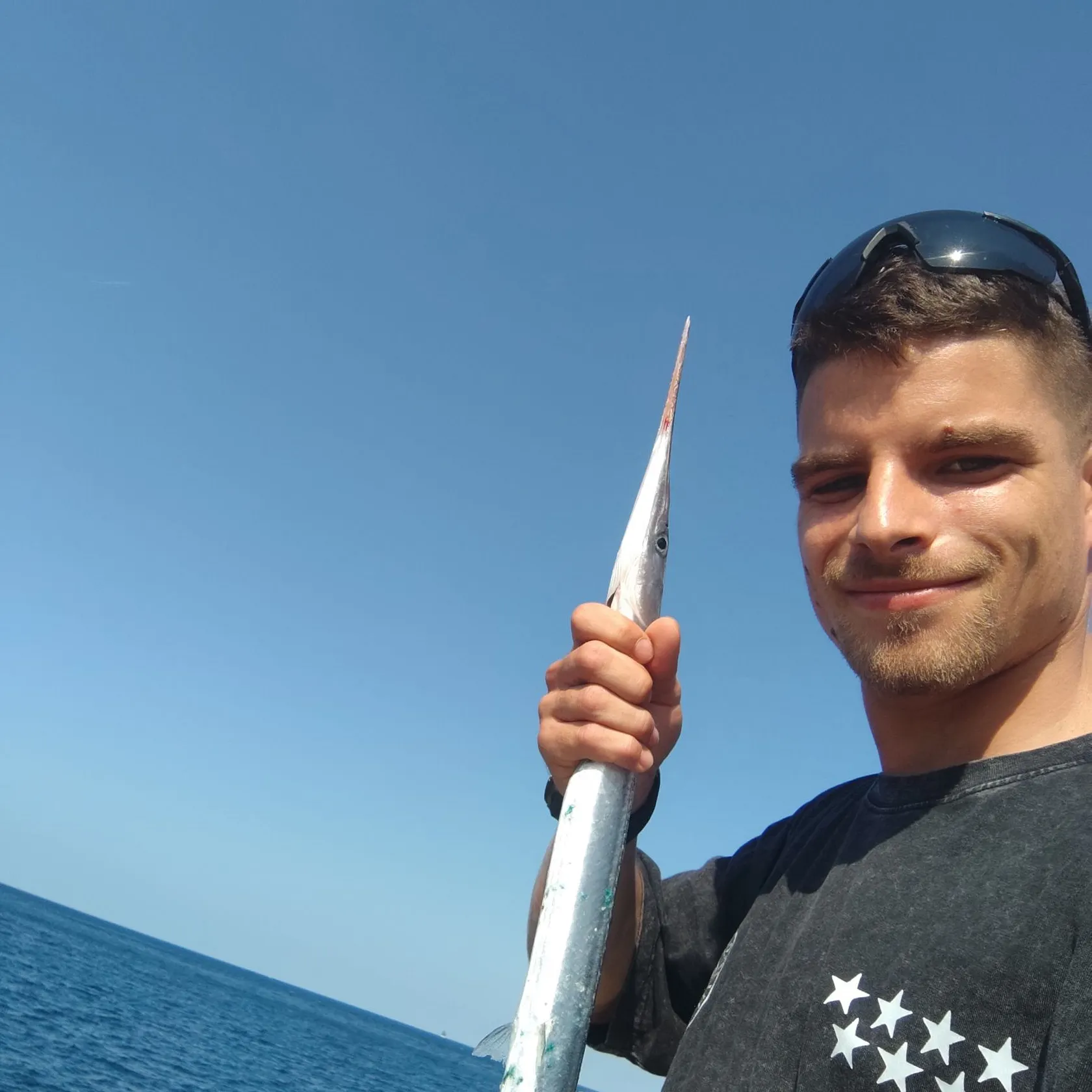 The most recent European garfish catches on Fishbrain