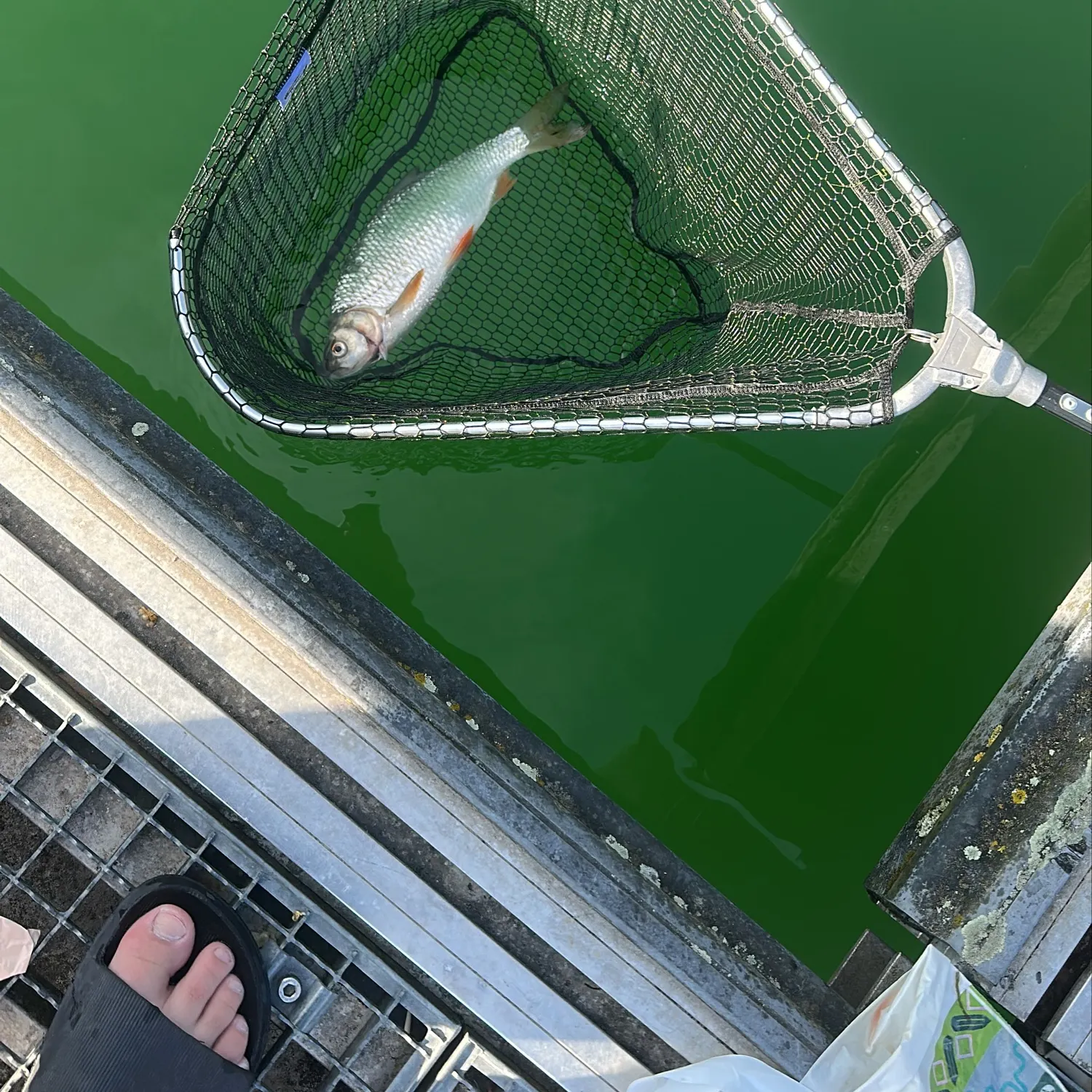 catch