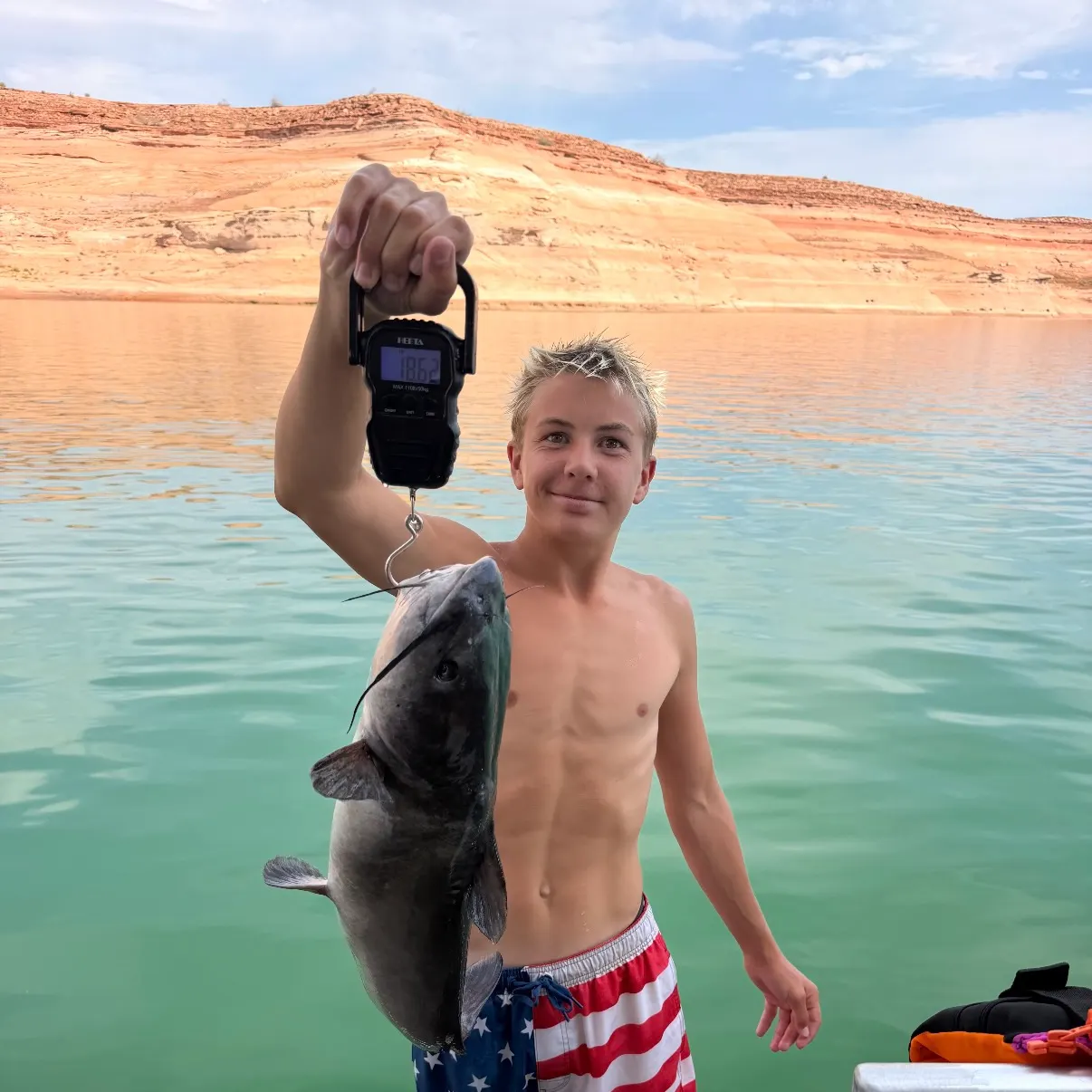 Channel catfish caught on Fishbrain
