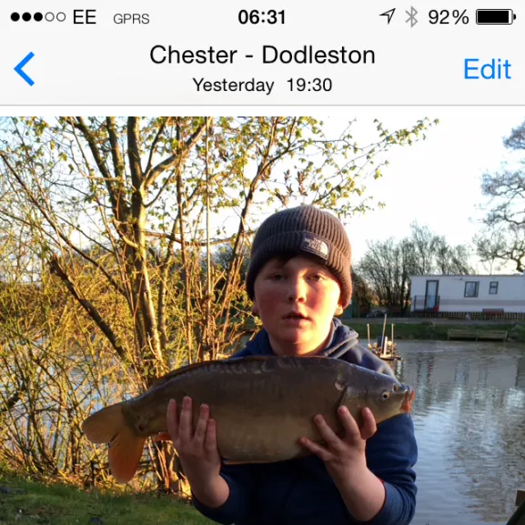 recently logged catches