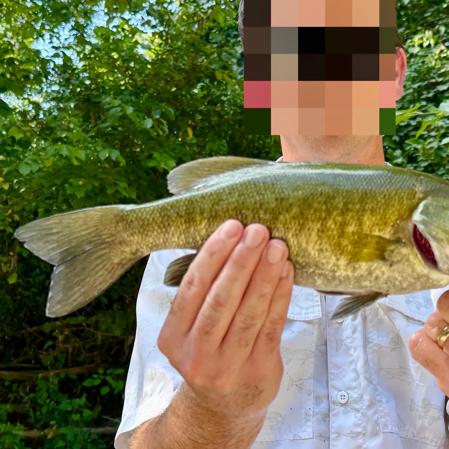 Smallmouth bass caught on Fishbrain