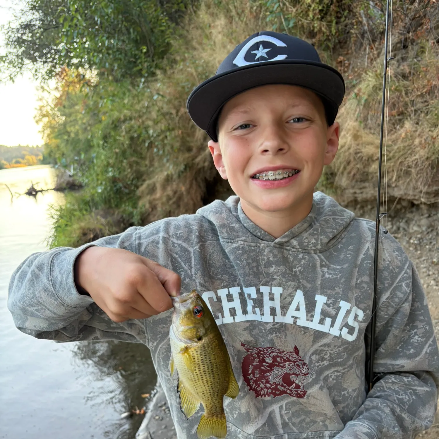 Rock bass caught on Fishbrain