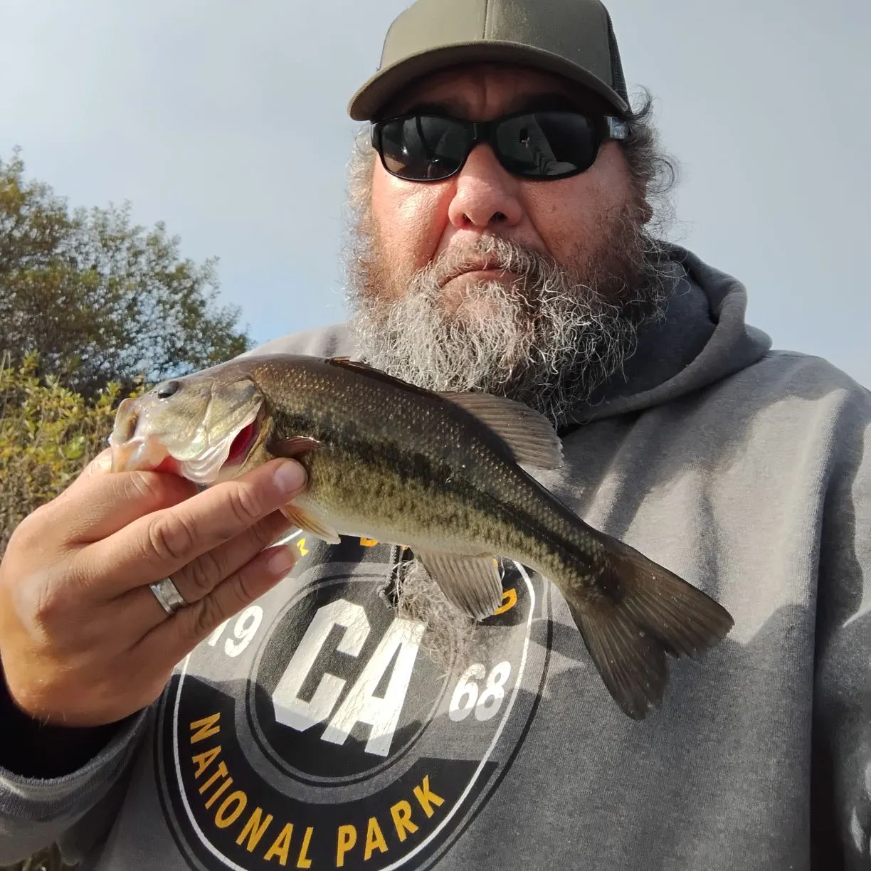 Largemouth bass caught on Fishbrain