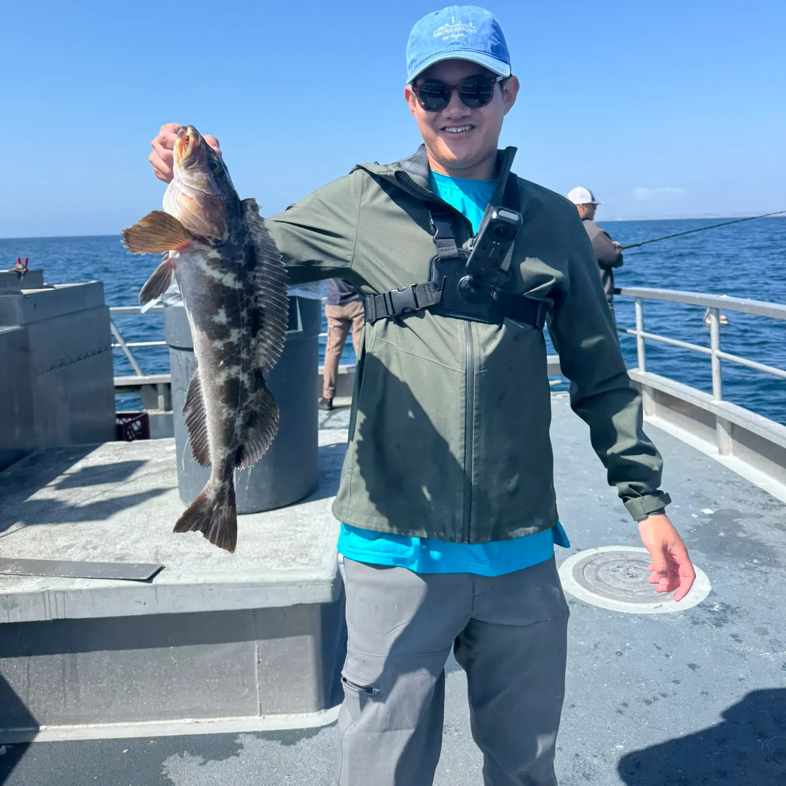 The most recent Lingcod catches on Fishbrain