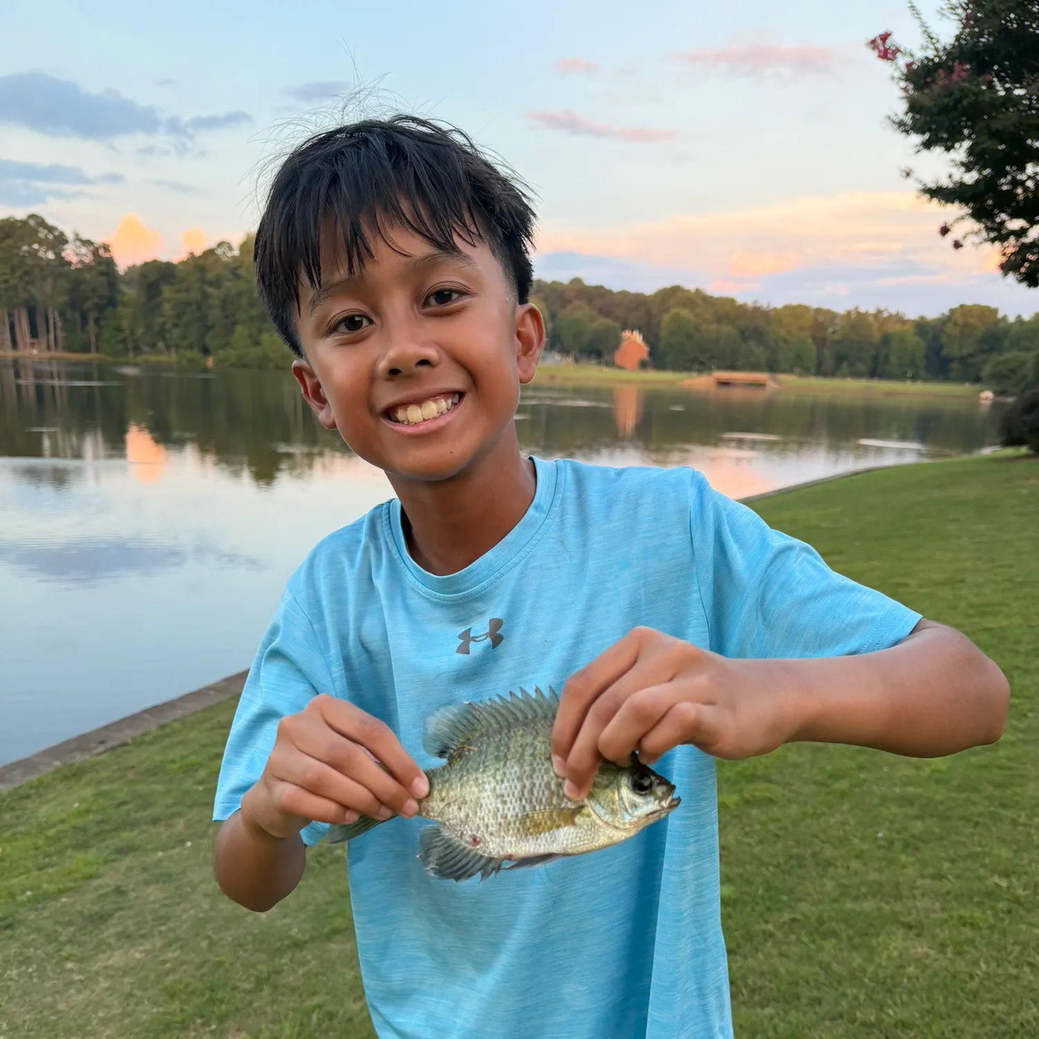 Bluegill caught on Fishbrain