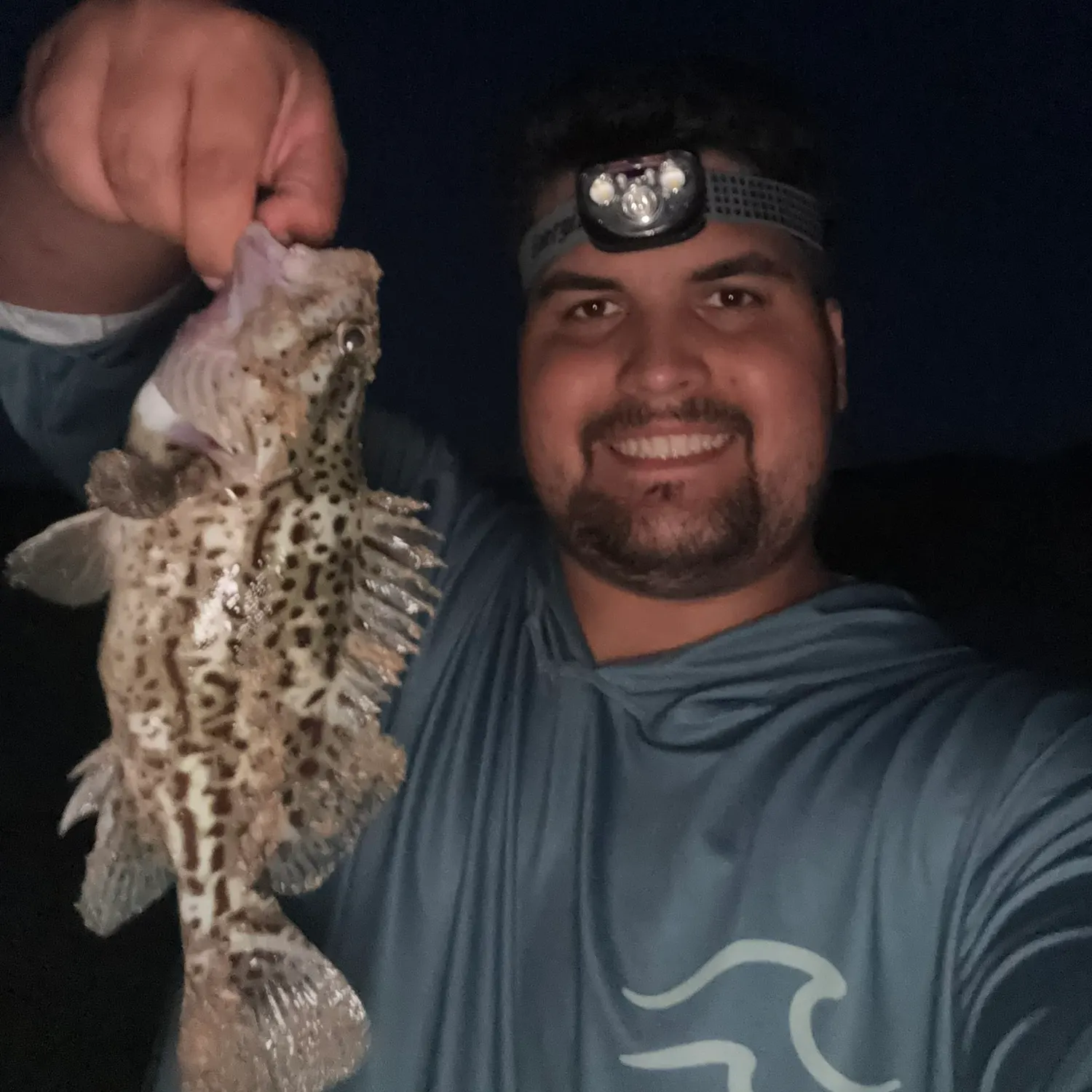 The most recent Leopard wirrah catches on Fishbrain