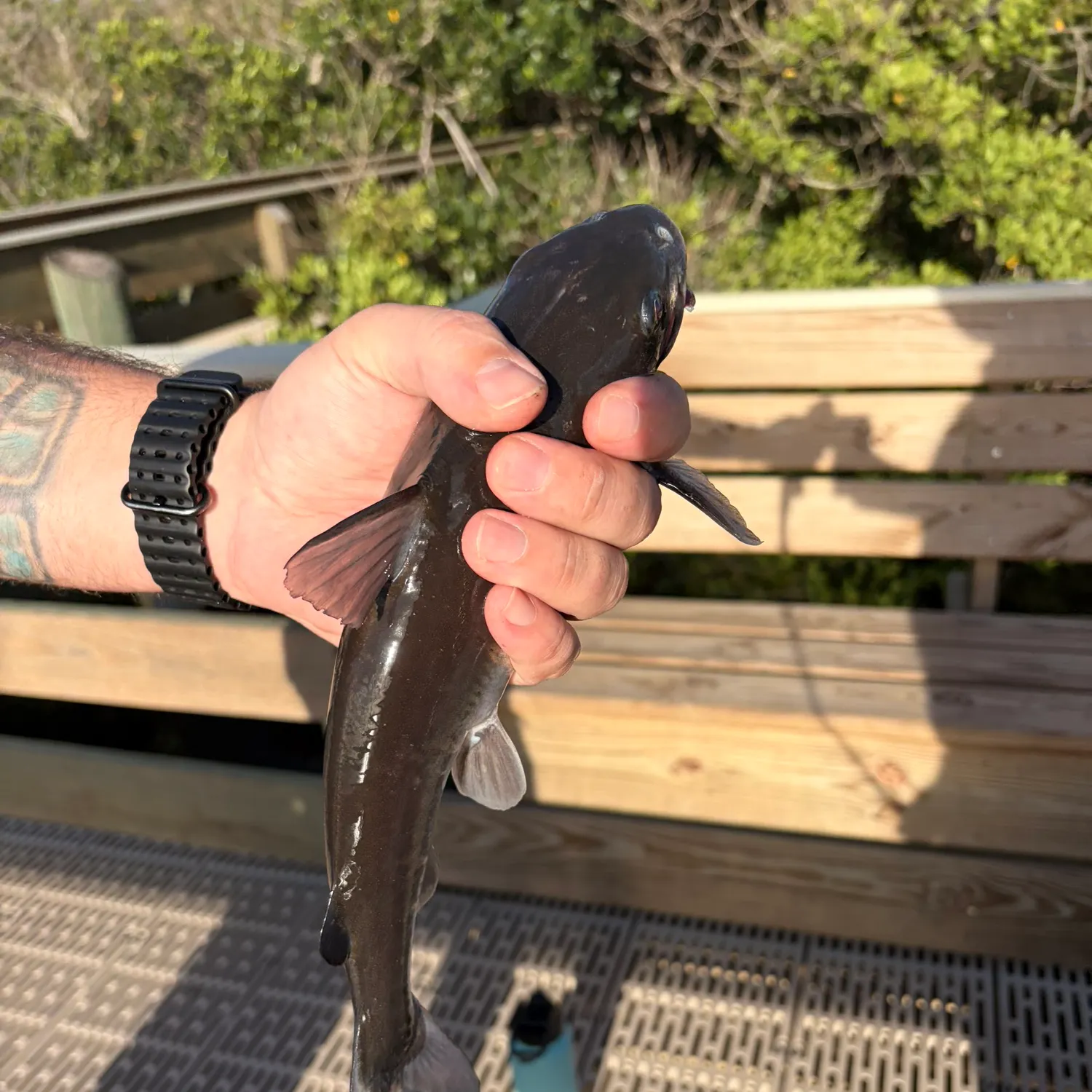 catch