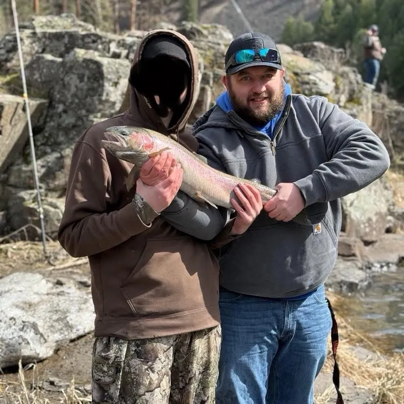 Steelhead caught on Fishbrain