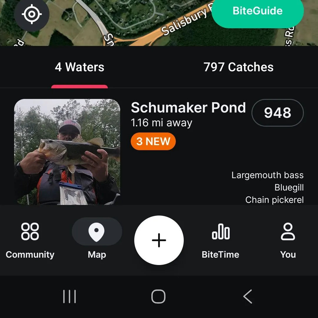 recently logged catches