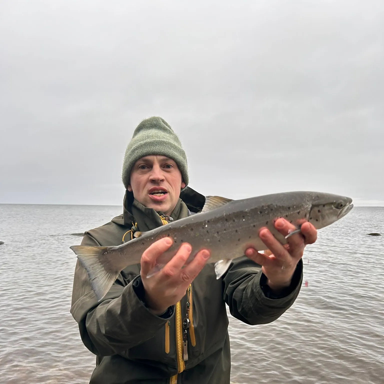 The most recent Sea trout catches on Fishbrain