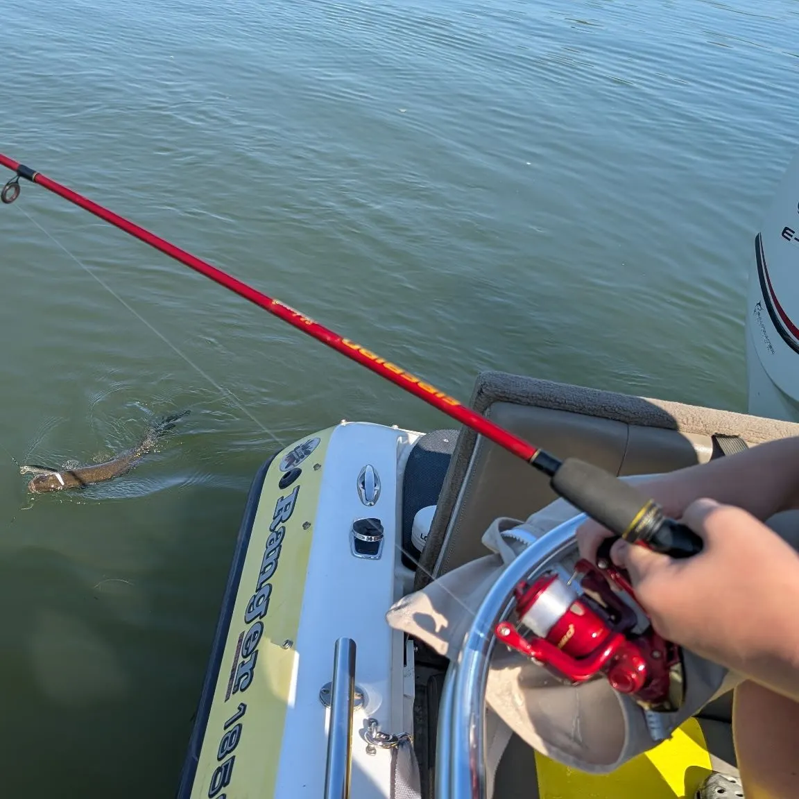 Northern pike caught on Fishbrain