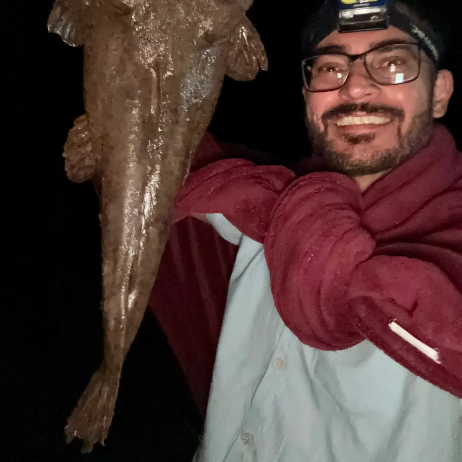 The most recent Gilded catfish catches on Fishbrain
