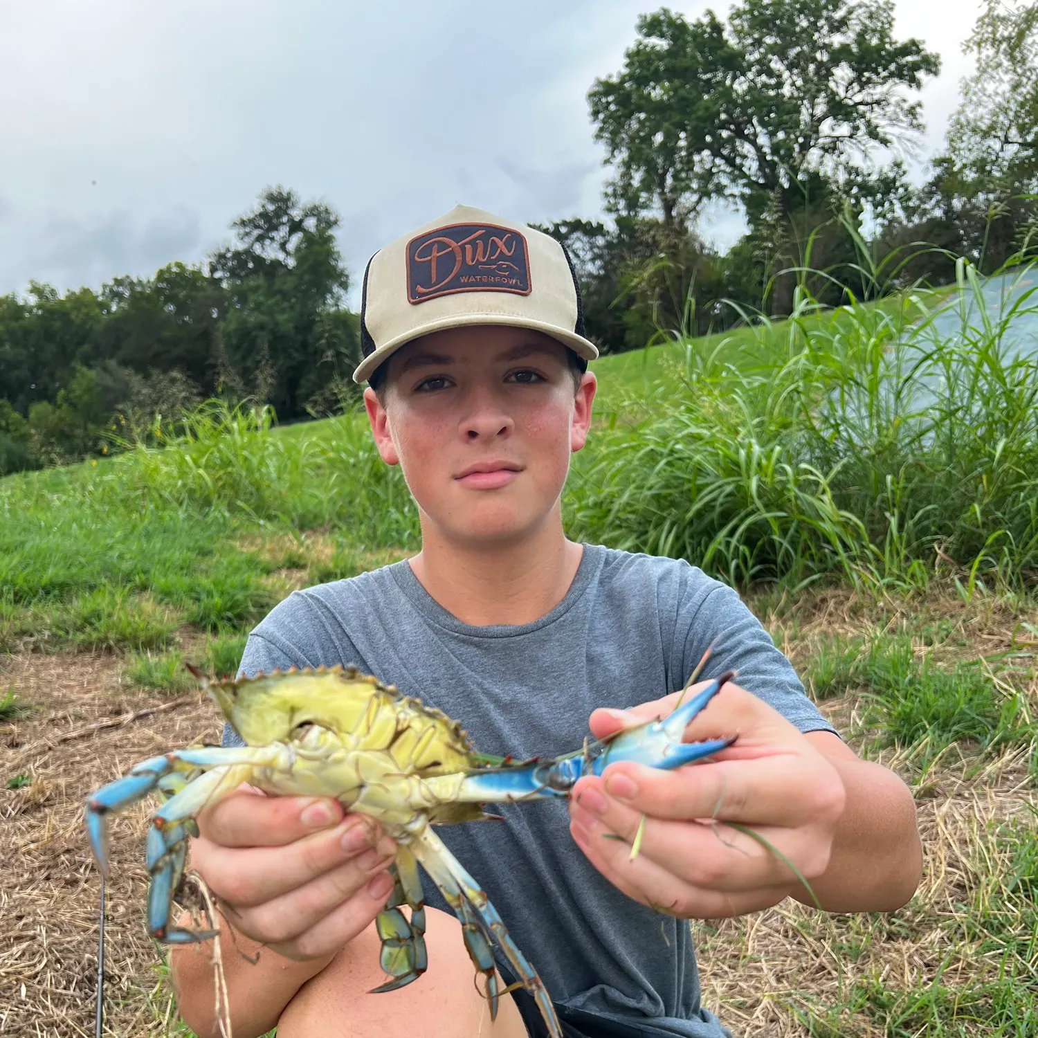 Blue crab caught on Fishbrain