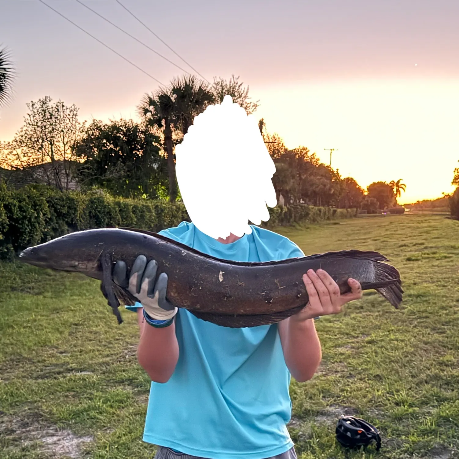 The most recent Bullseye snakehead catches on Fishbrain