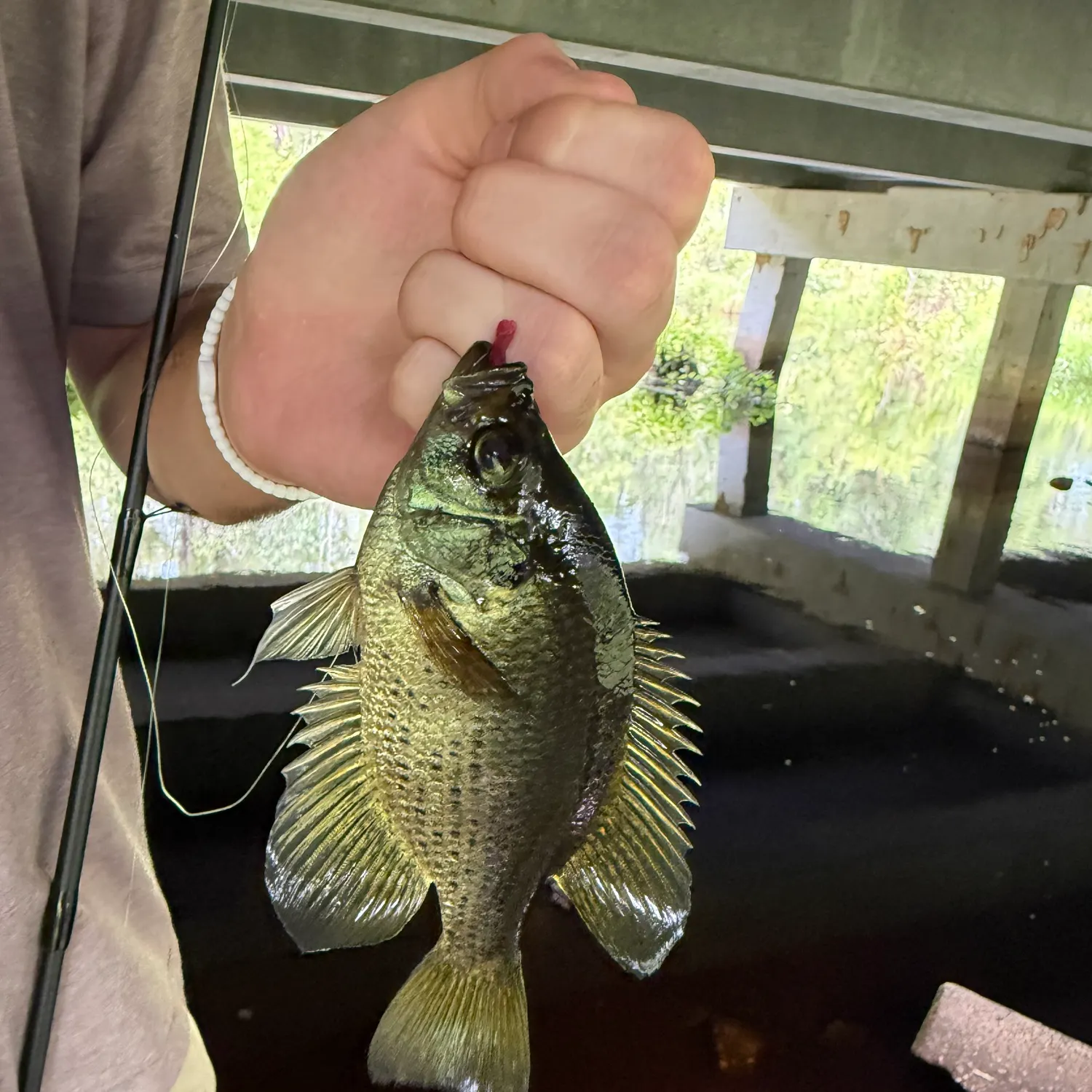 most liked catch image