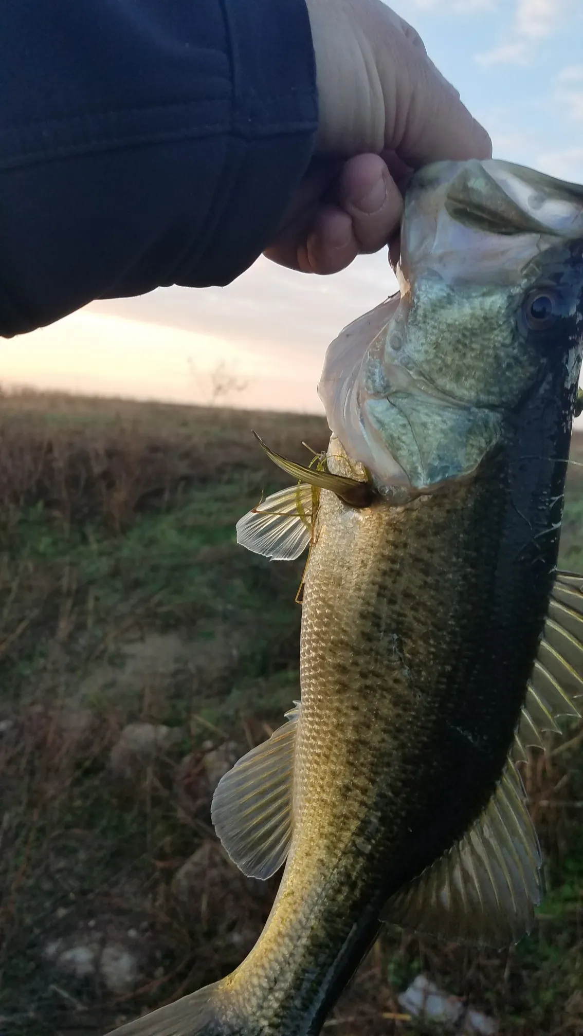 Post image from agraham5897