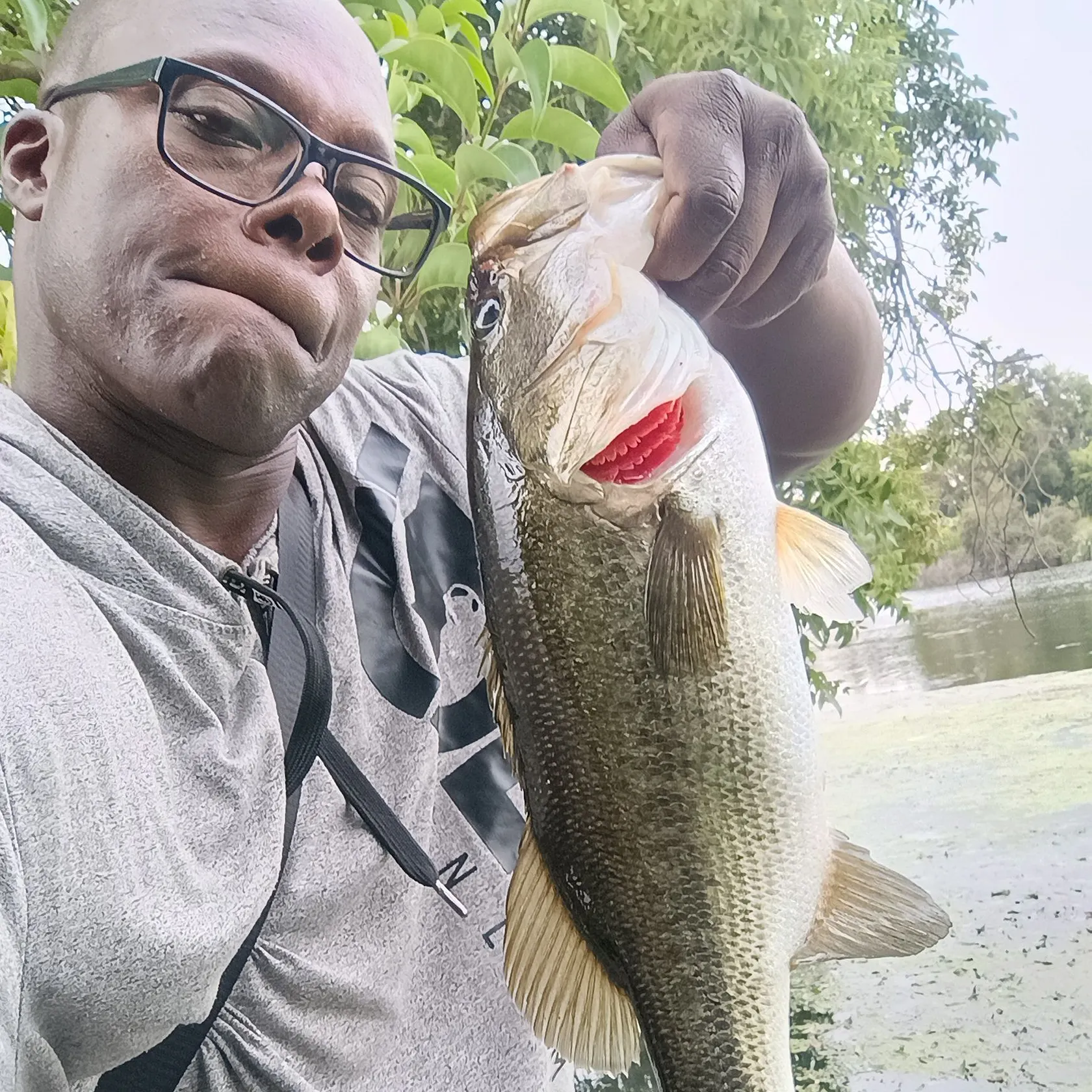 Largemouth bass caught on Fishbrain