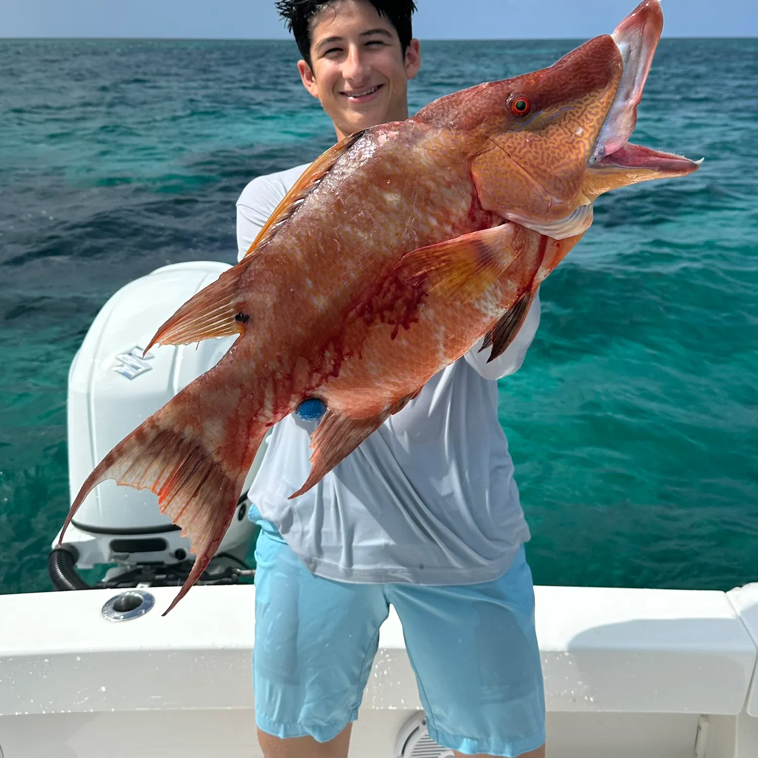 The most recent Hogfish catches on Fishbrain