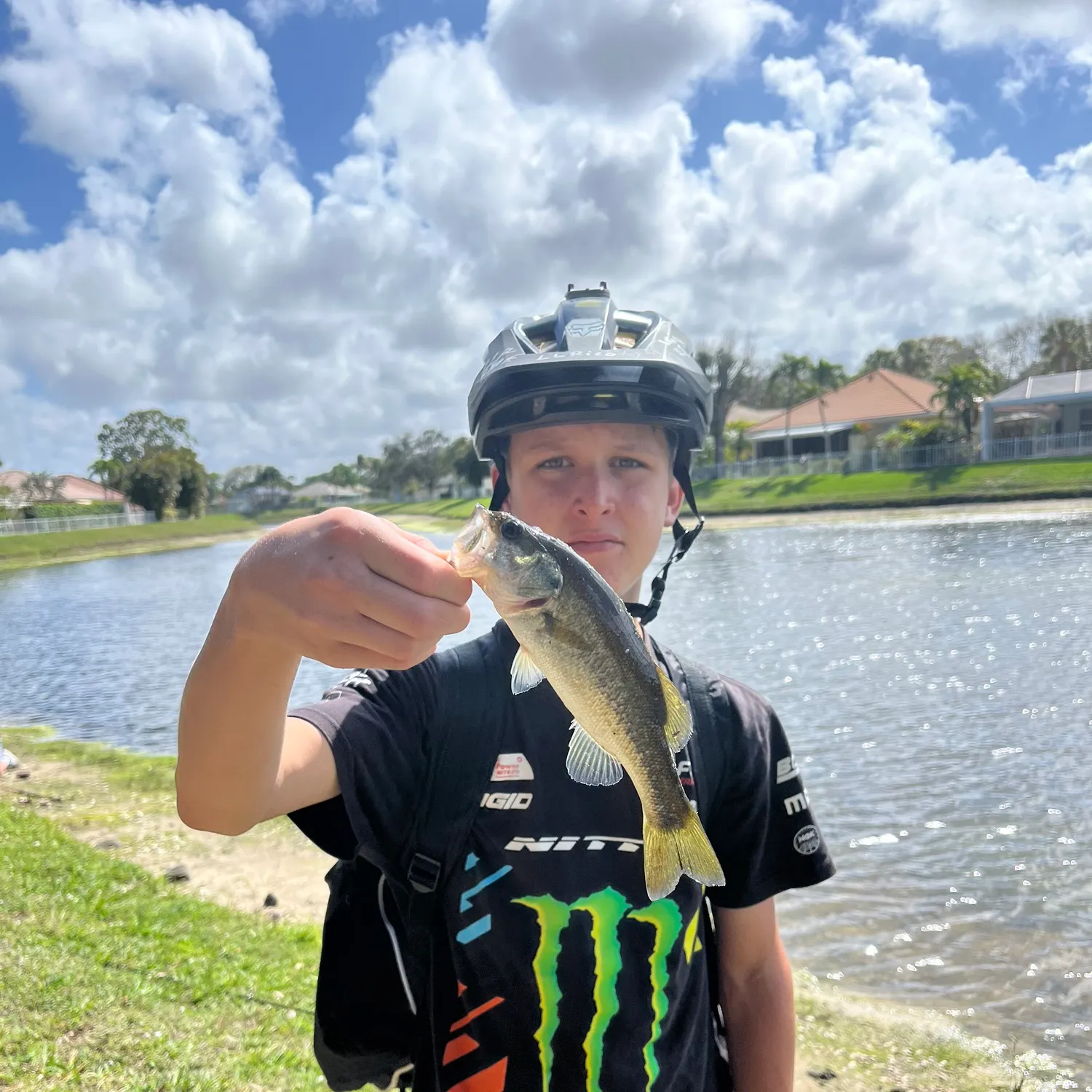 The most recent Black marlin catches on Fishbrain