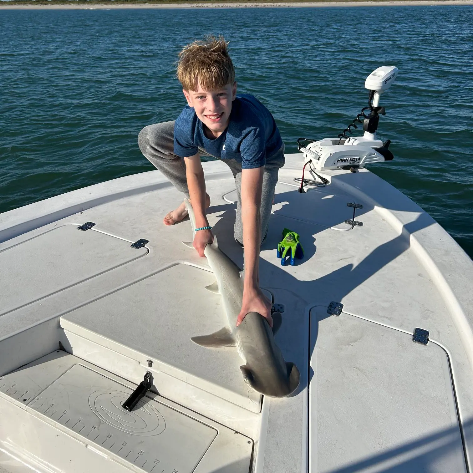 The most recent Bonnethead shark catches on Fishbrain