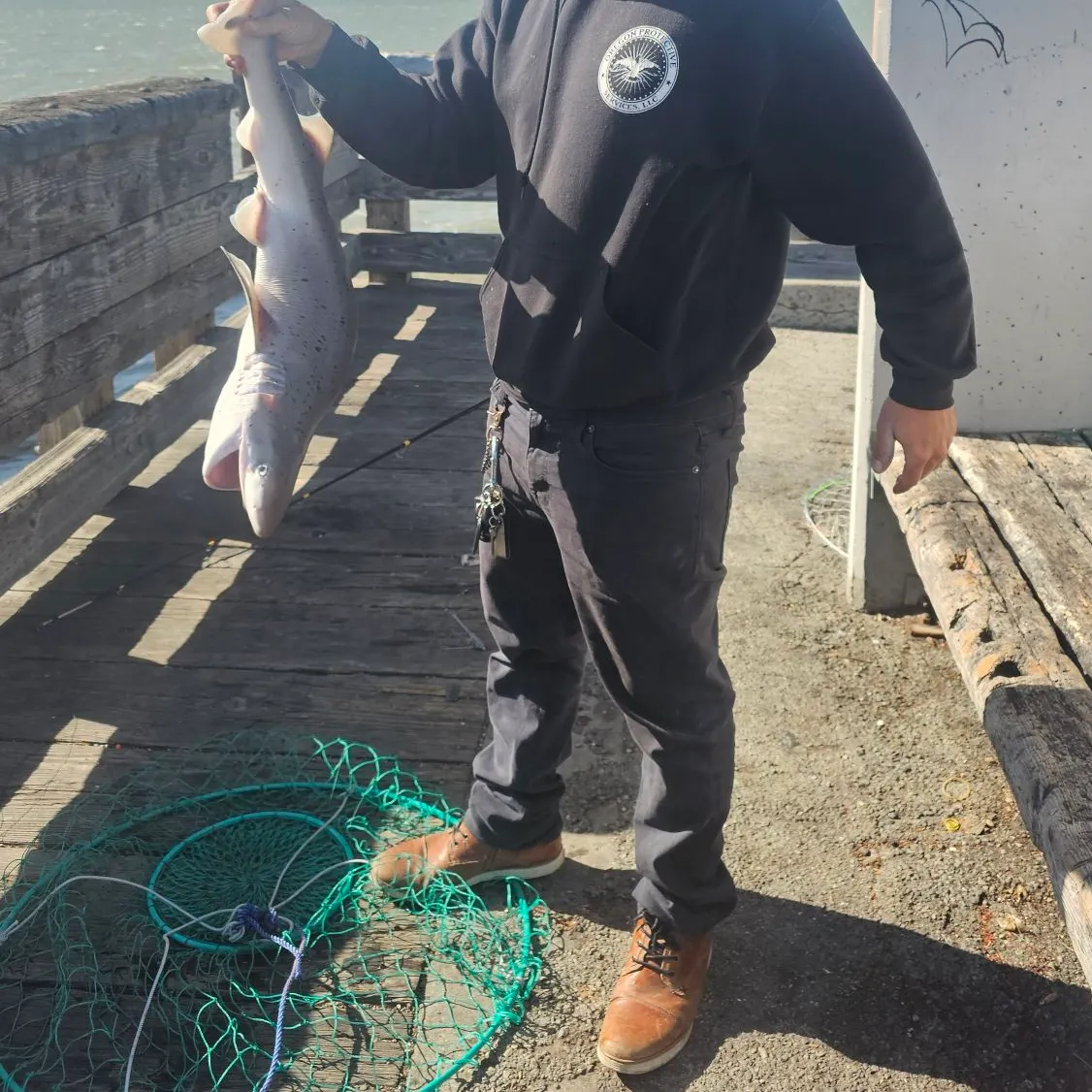 The most popular recent Broadnose sevengill shark catch on Fishbrain