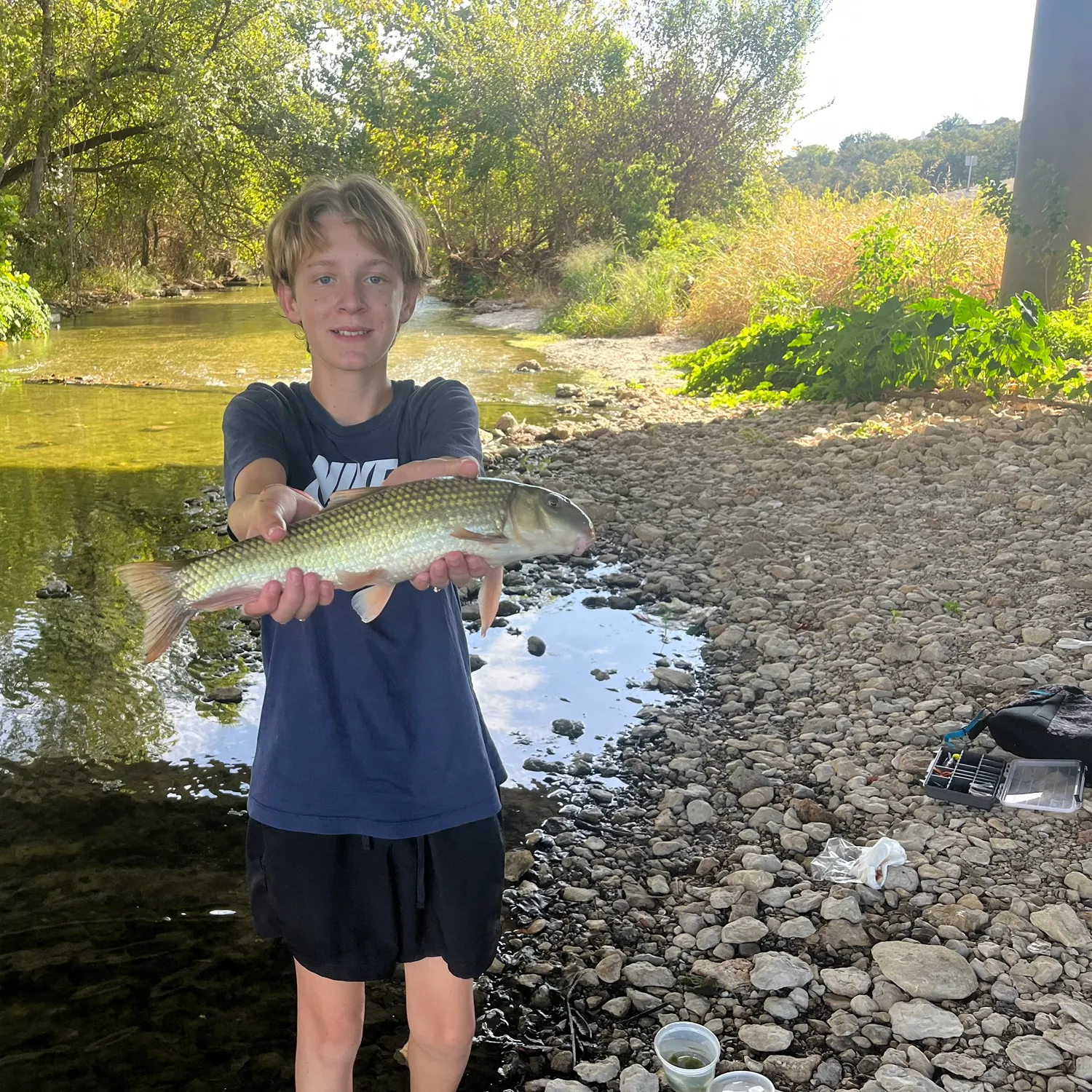 The most recent Apalachicola redhorse catches on Fishbrain