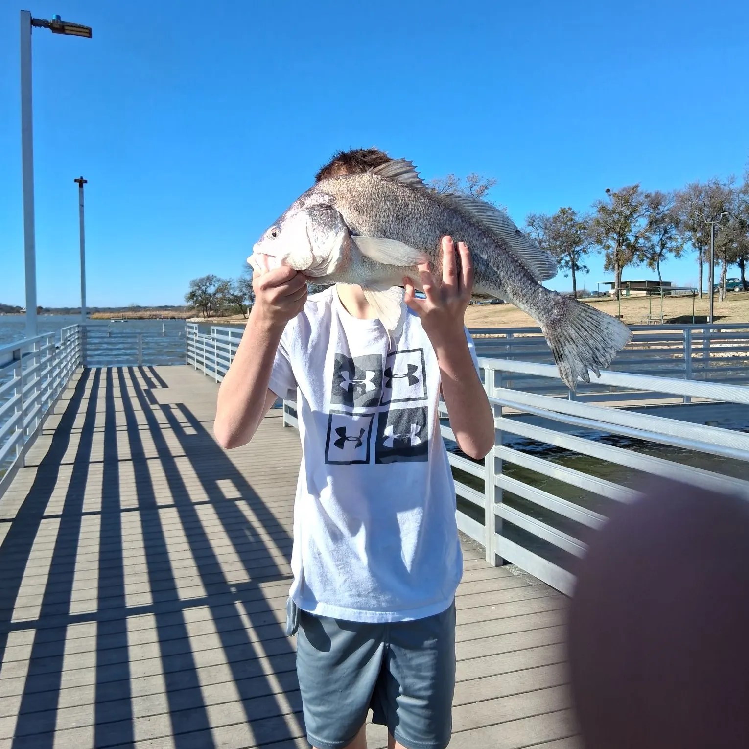The most recent Freshwater drum catches on Fishbrain