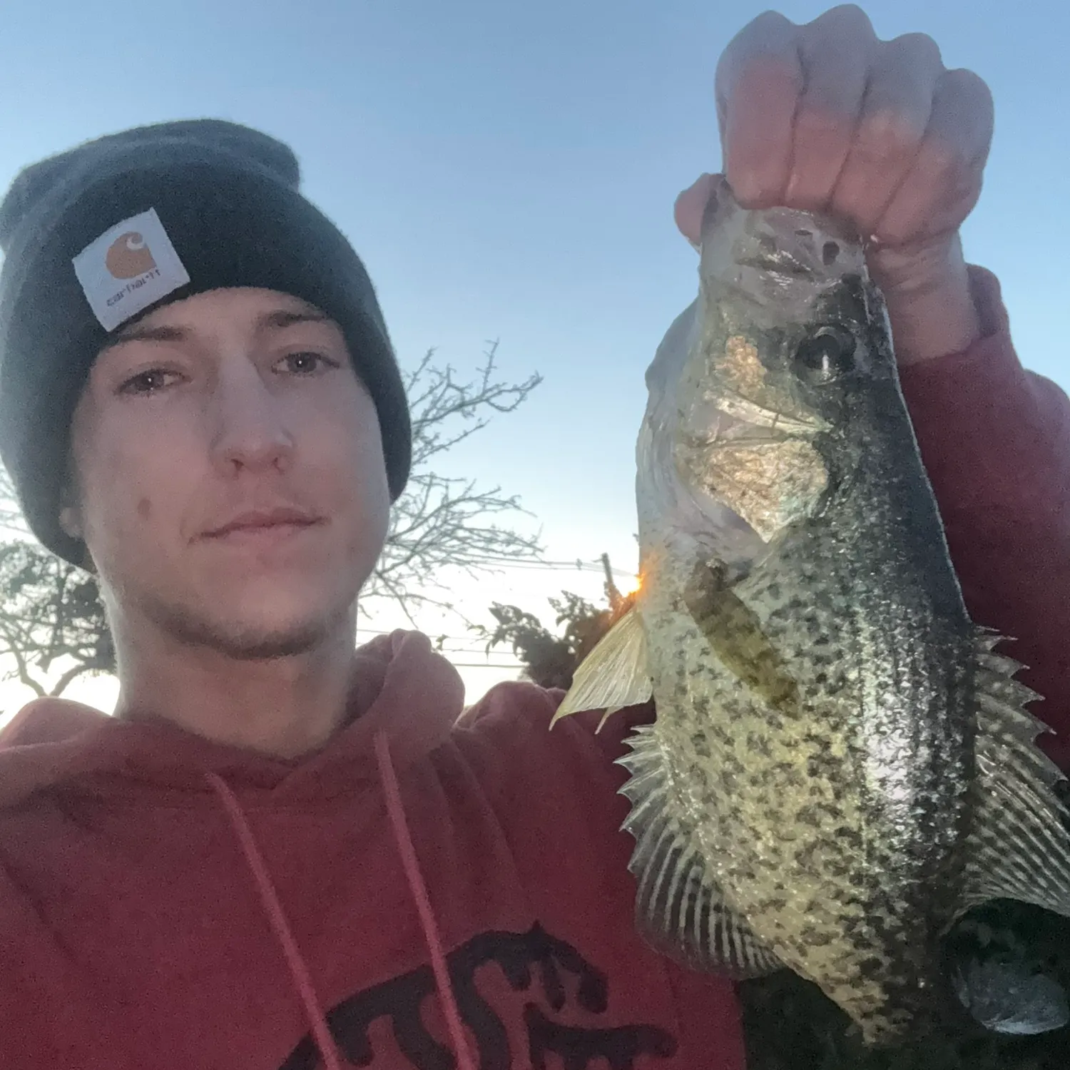 Black crappie caught on Fishbrain