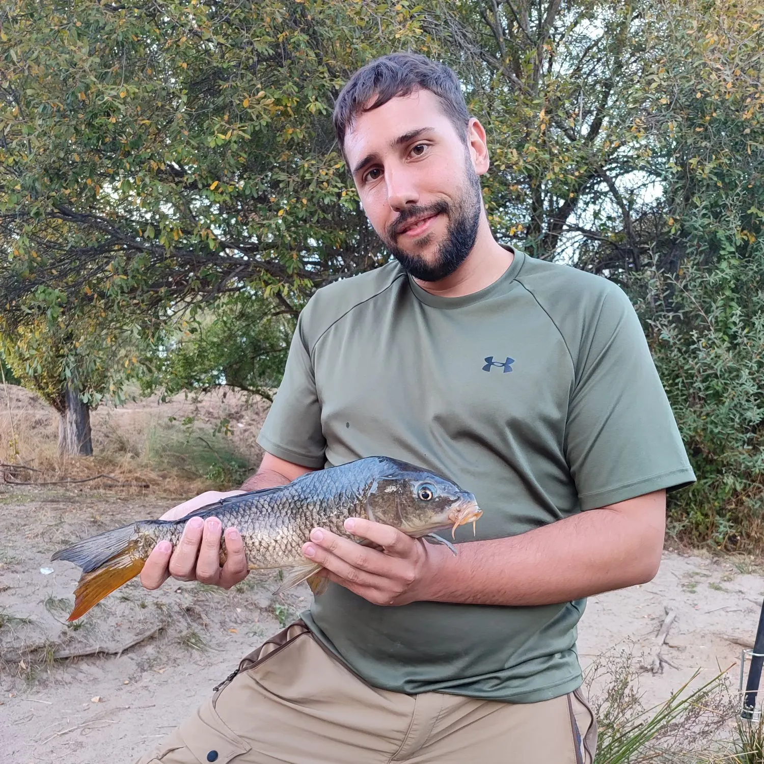 Common carp caught on Fishbrain