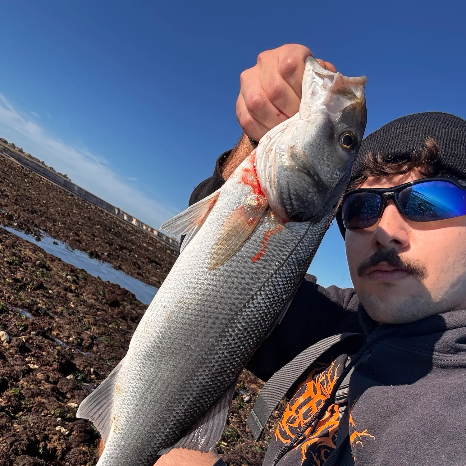 European seabass caught on Fishbrain